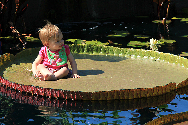 Allison 1 Year